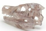 Carved, Banded Fluorite Dinosaur Skull #218479-6